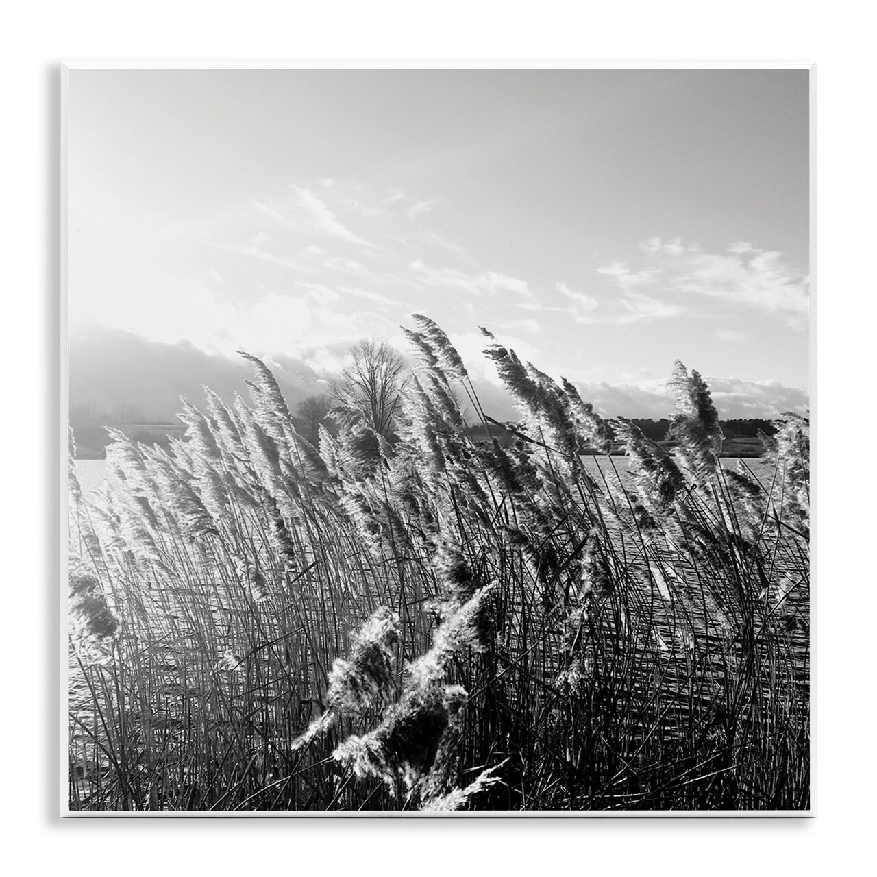 Stupell Industries Tall Grass Lake Water Landscape Wall Plaque Art